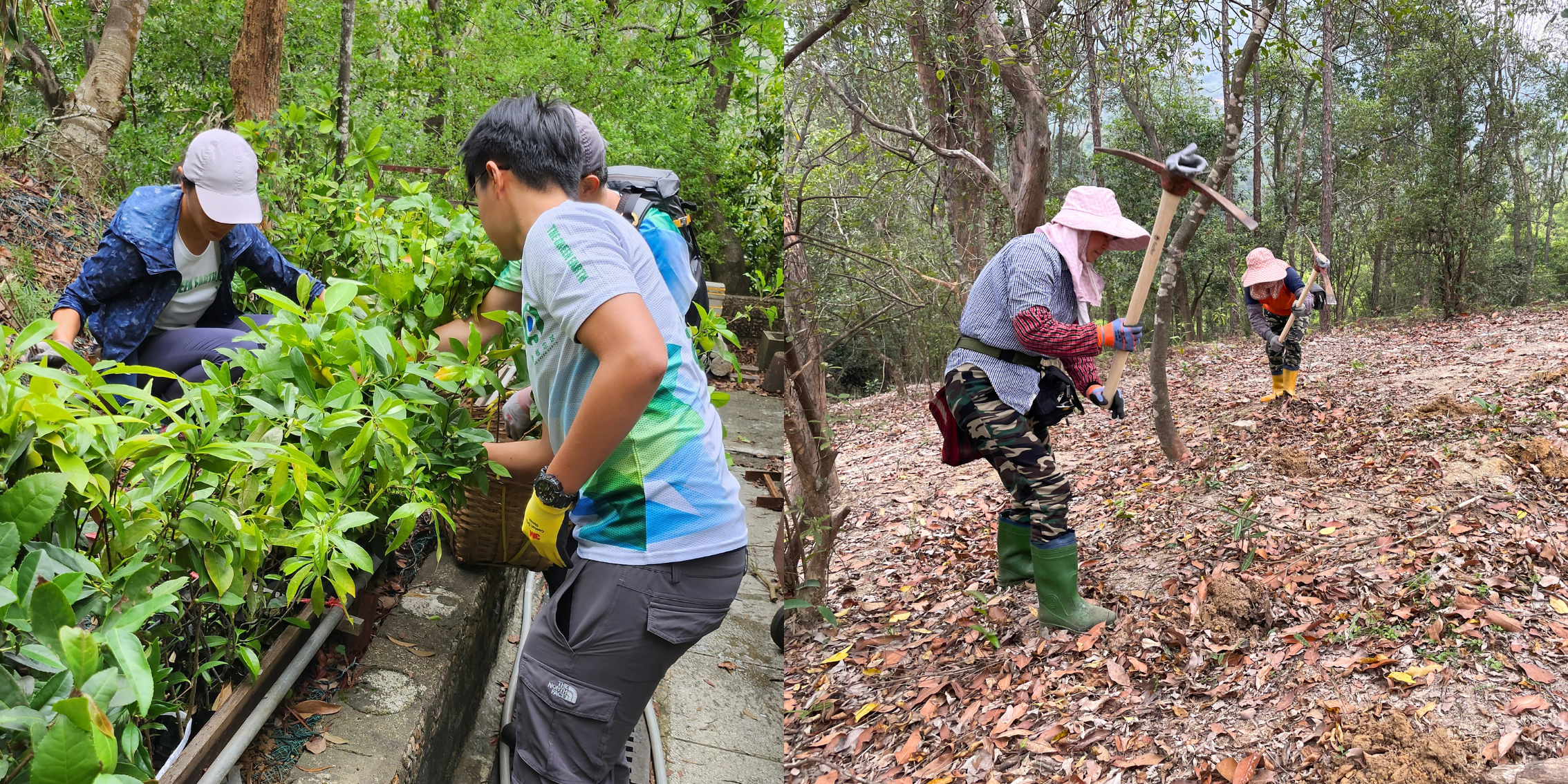 植樹前期的準備工作
